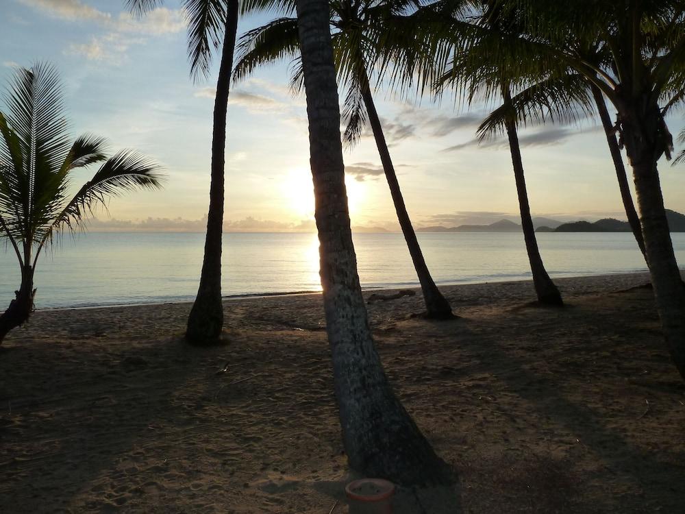 Palm Cove Tropic Apartments Eksteriør billede