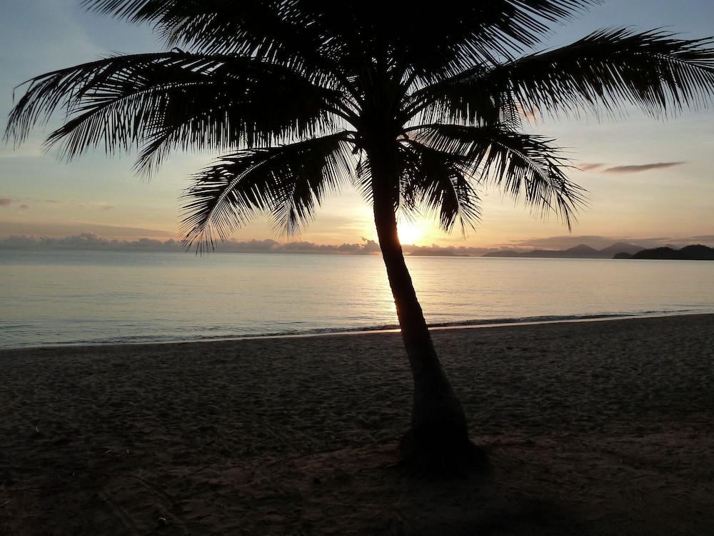Palm Cove Tropic Apartments Eksteriør billede