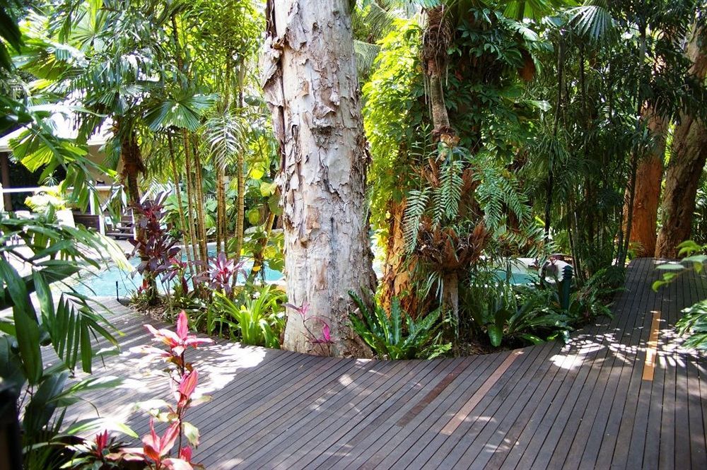Palm Cove Tropic Apartments Eksteriør billede